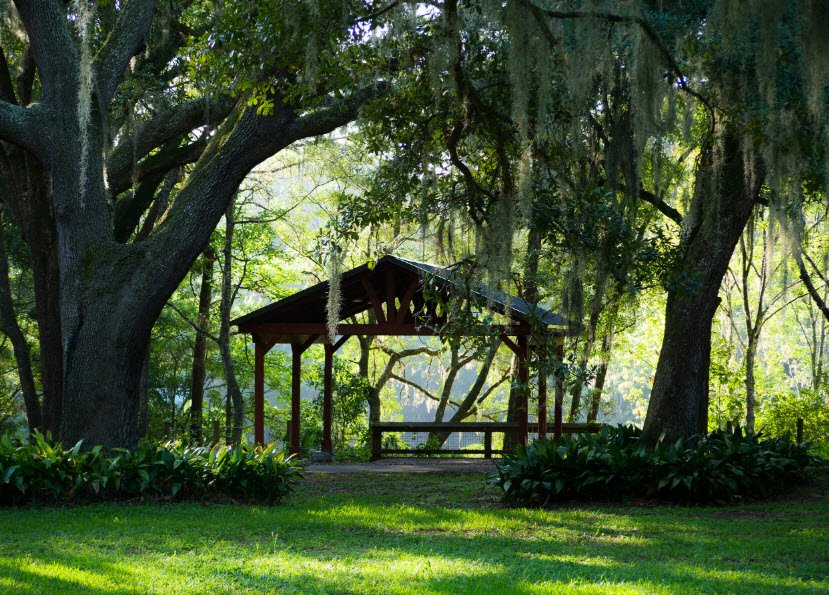 Jacksonville Arboretum & Botanical Gardens, United States